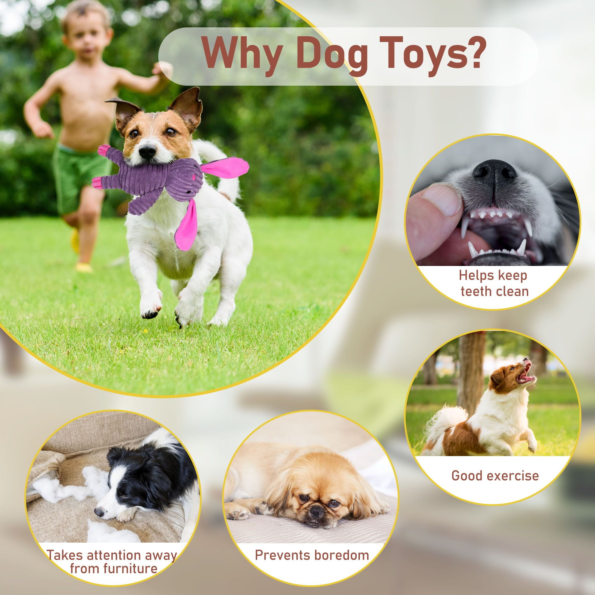 Prime Pets Dog Toys, 5 Pack, Squeaky Plush Dog Chew Toys Gift for Small Medium Large Dogs, Puppy