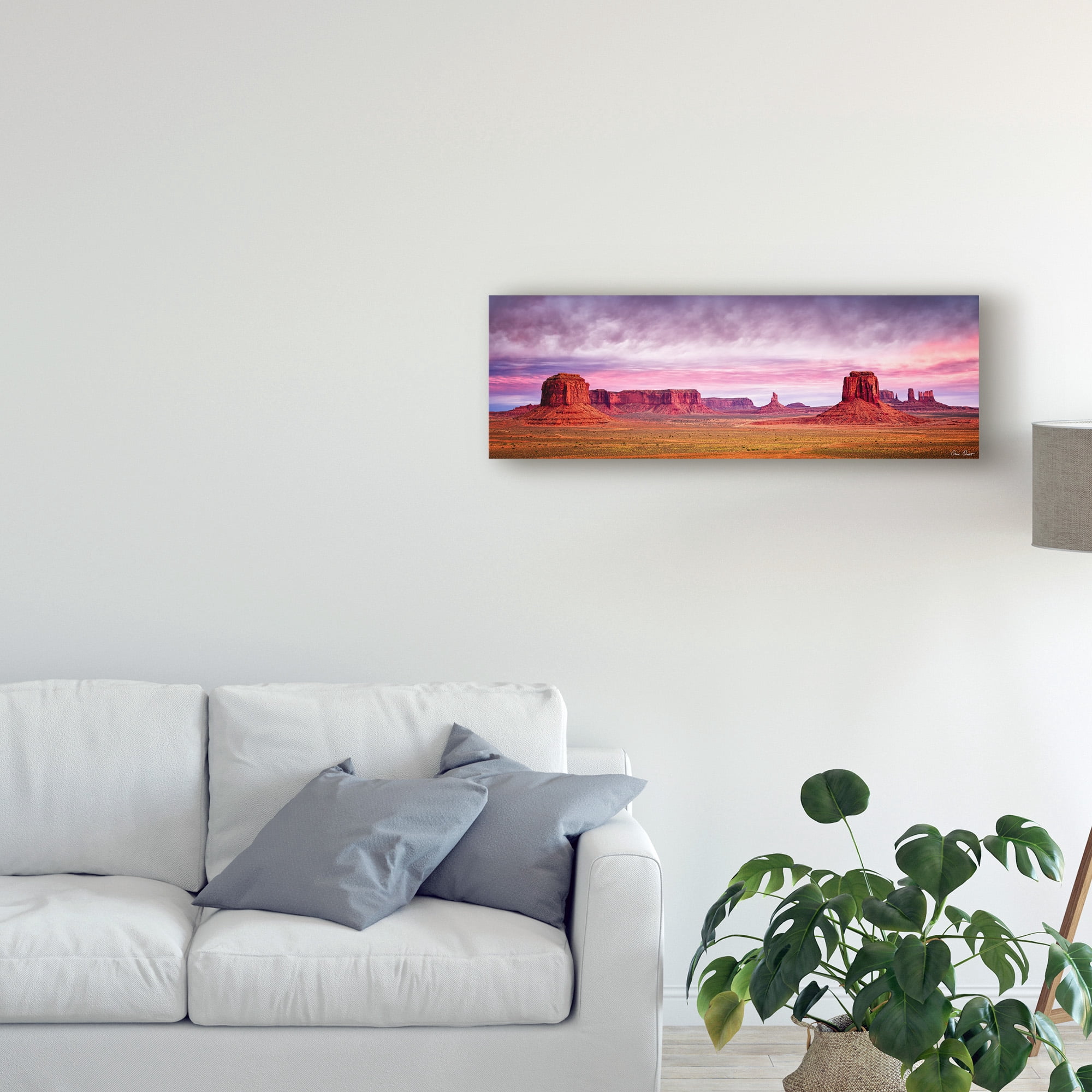 Trademark Fine Art 'Pink Morning Glory V' Canvas Art by David Drost