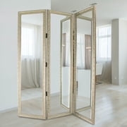 Wayborn Mirror with Frame Full Size Dressing Room Divider in Silver