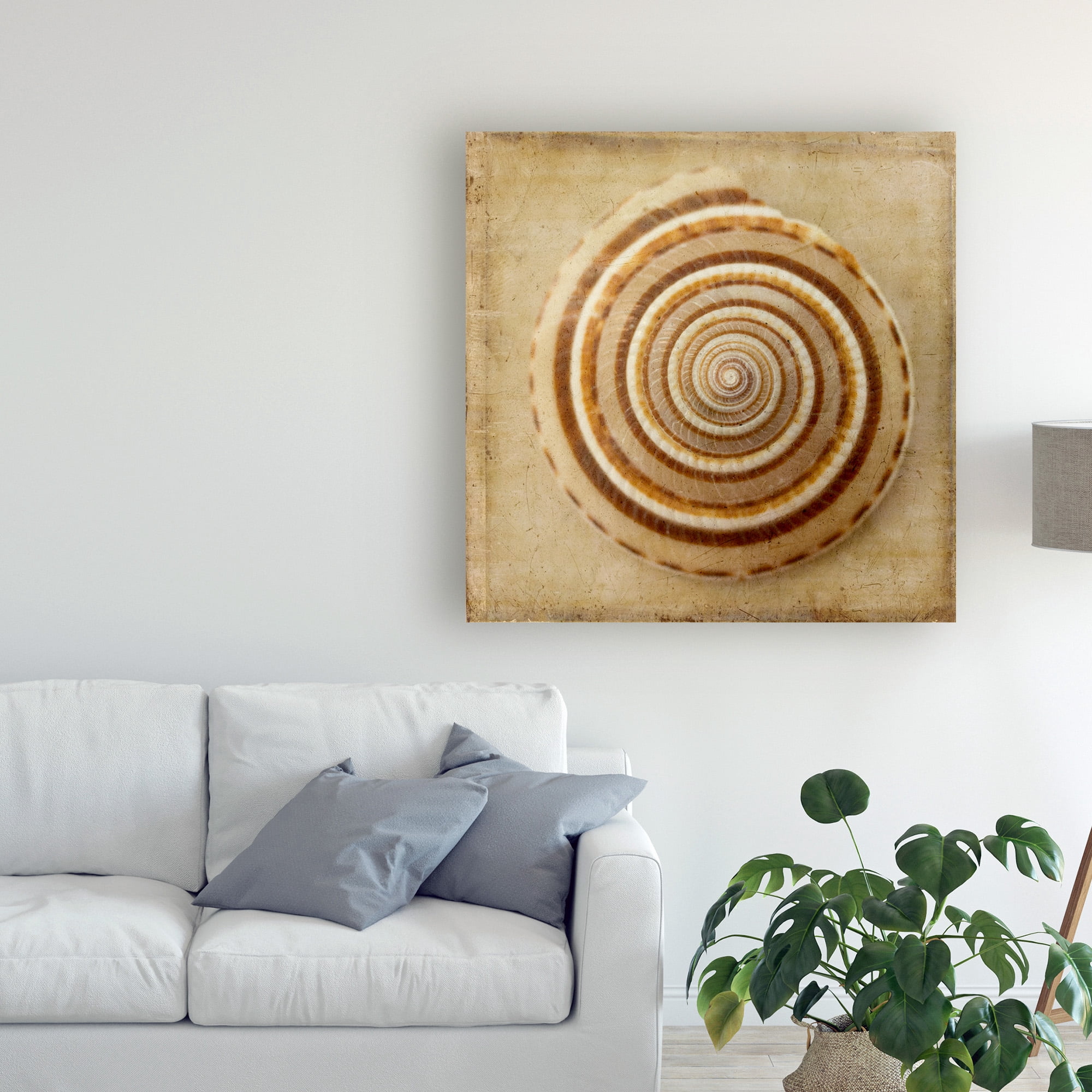 Trademark Fine Art 'Sepia Shell V' Canvas Art by Judy Stalus