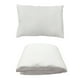 thumbnail image 1 of Protector Spring Air Individual + Almohada Frosty, 1 of 7