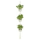 thumbnail image 2 of Soporte para macetas, macetero colgante de cuerda de cáñamo, colgador de plantas, aspecto llamativo, 2 of 5