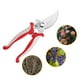 thumbnail image 4 of Tijeras de podar de acero inoxidable Tijeras de jardín multifuncionales Tijeras para frutales, flores y recolección de frutos Tijeras para ramas de jardín 1 paquete, 4 of 8