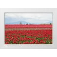 thumbnail image 3 of Dana Styber 4x24 White Modern Wood Framed Wall Art Titled - Red Tulip Mound II, 3 of 5