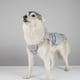 thumbnail image 4 of Chaleco De Enfriamiento Sunnimix Para Perros Abrigo De Enfriamiento Ajustable Para Acampar Caminar Verano S, 4 of 8