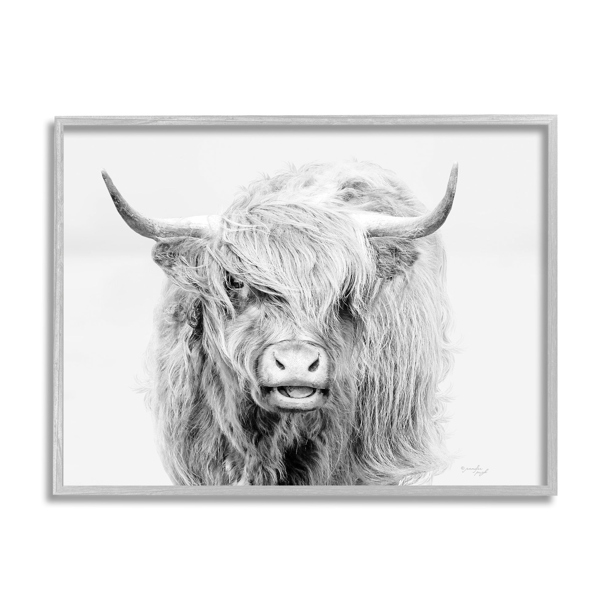 Stupell Industries Expressive Highland Cattle Monochrome Animal Portrait Photograph Gray Framed Art Print Wall Art, Design by Jennifer Pugh