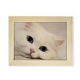 thumbnail image 1 of CAT White Kitty animal relajarse Escritorio de madera Arte Pintura 6x8 pulgadas marco de foto foto, 1 of 4