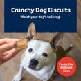 thumbnail image 4 of Blue Buffalo Health Bars Crunchy Dog Biscuits, Bacon, Egg & Cheese, 16-oz. Bag, 4 of 9