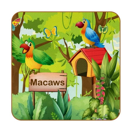 

OWNTA Forest with Macaws Signboard Mailbox Pattern Premium 6-Piece Square Coaster Set in Microfiber Leather - Non-Slip & Absorbent Cup Mats