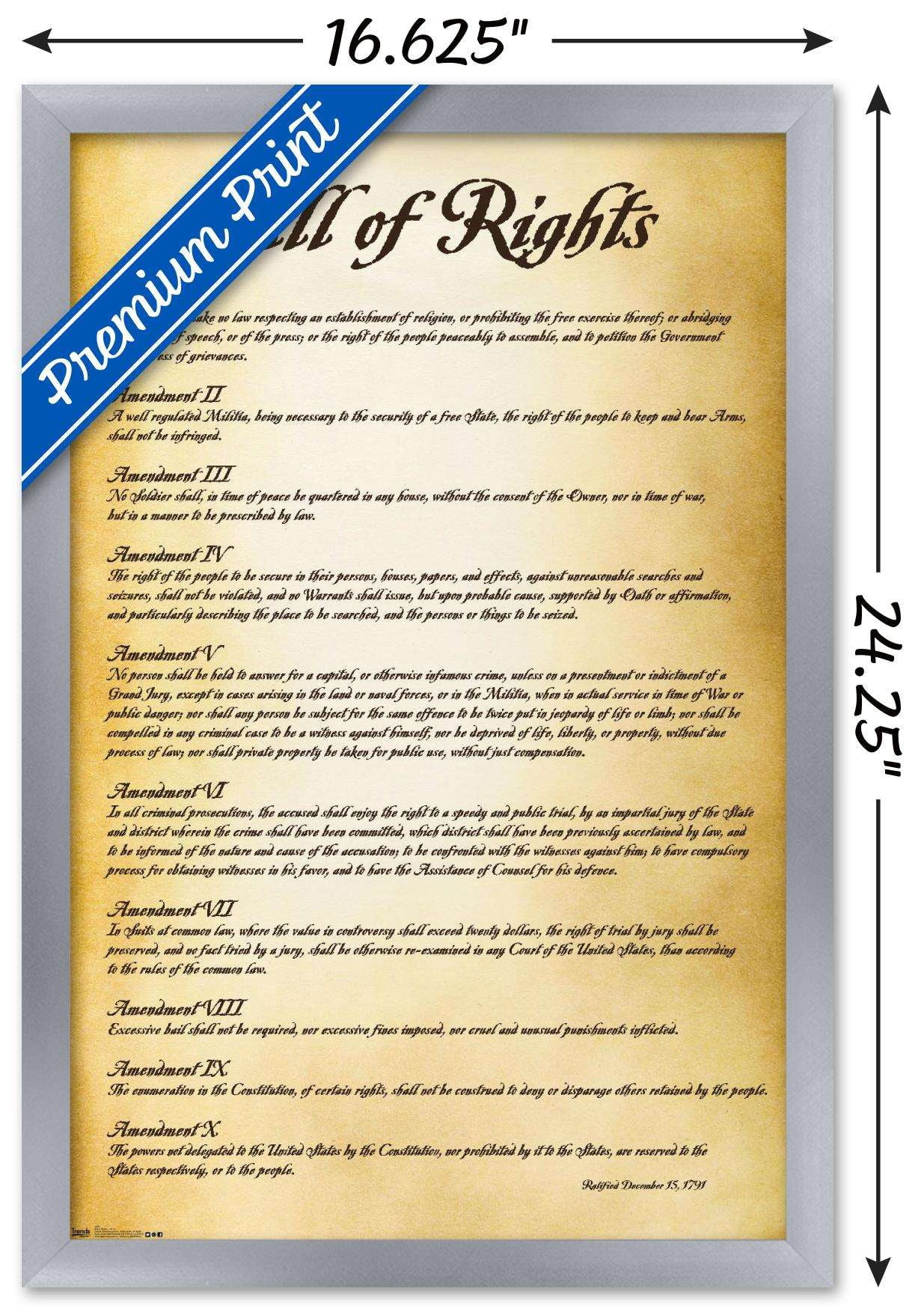 The United States of America - Bill of Rights Wall Poster, 14.725" x 22.375", Framed