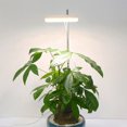 thumbnail image 4 of Luz De Crecimiento De Plantas Con Función De Sincronización Lámpara De Crecimiento De Enchufe Redondo Con Luz De Crecimiento Ajustable De Altura De Bajo Voltaje Para Cobertizo De Cultivo De Plantas Speravity HA025809-01, 4 of 5