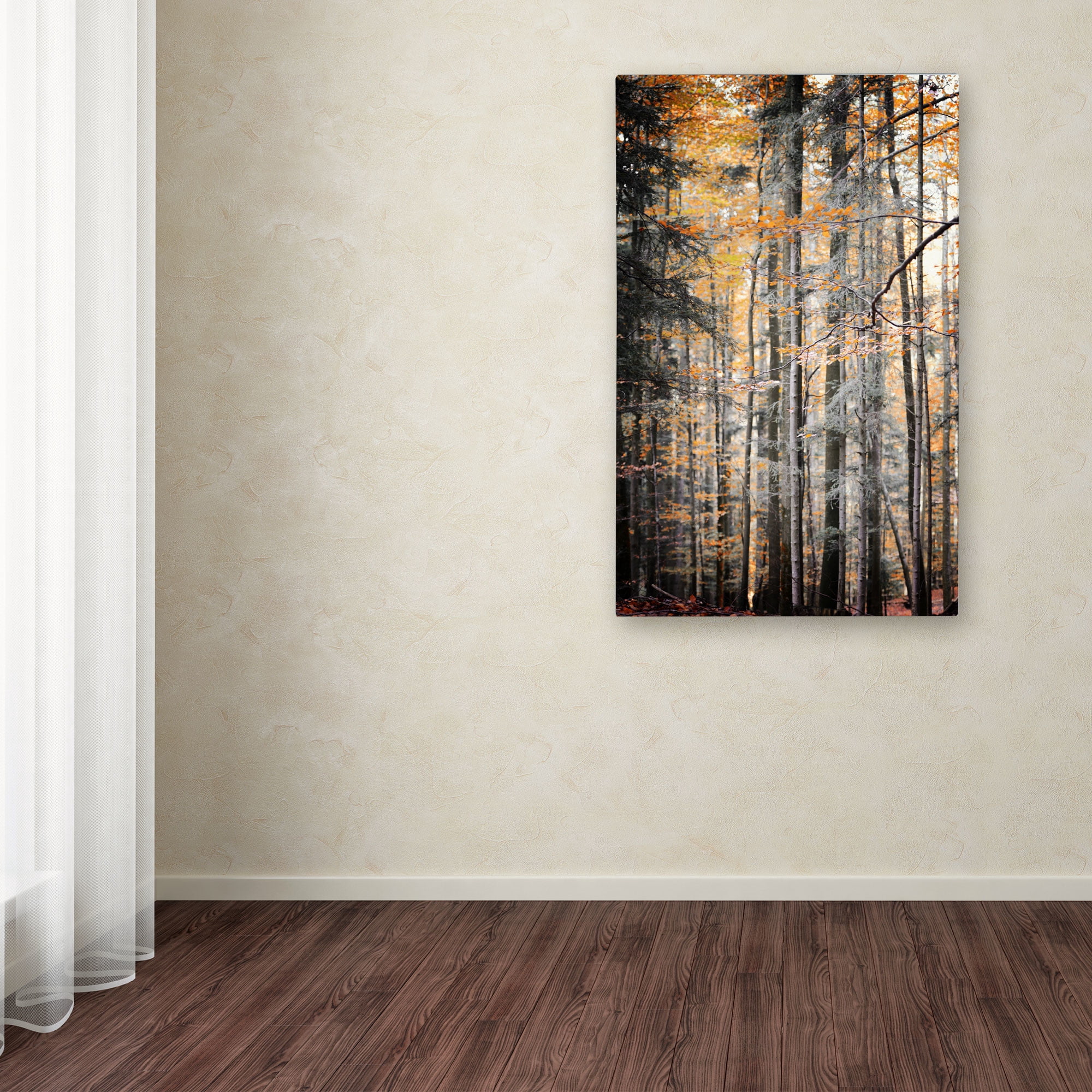 Trademark Fine Art "Autumn Tones" Canvas Art by Philippe Sainte-Laudy
