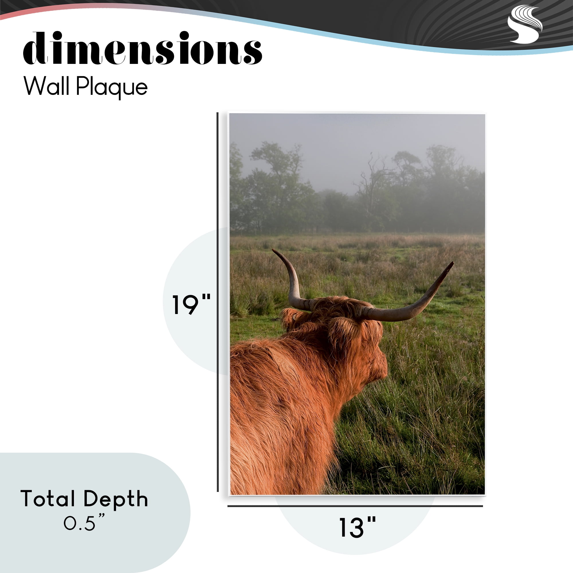 Highland Cow Gazing Out Wall Plaque Art, design by Jenny Rainbow Fine Art