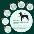 thumbnail image 3 of UOSIA Dog Tuxedo,Dog Wedding Suit with Bow Tie Formal Dogs Tux Pet Wedding Costume, 3 of 6