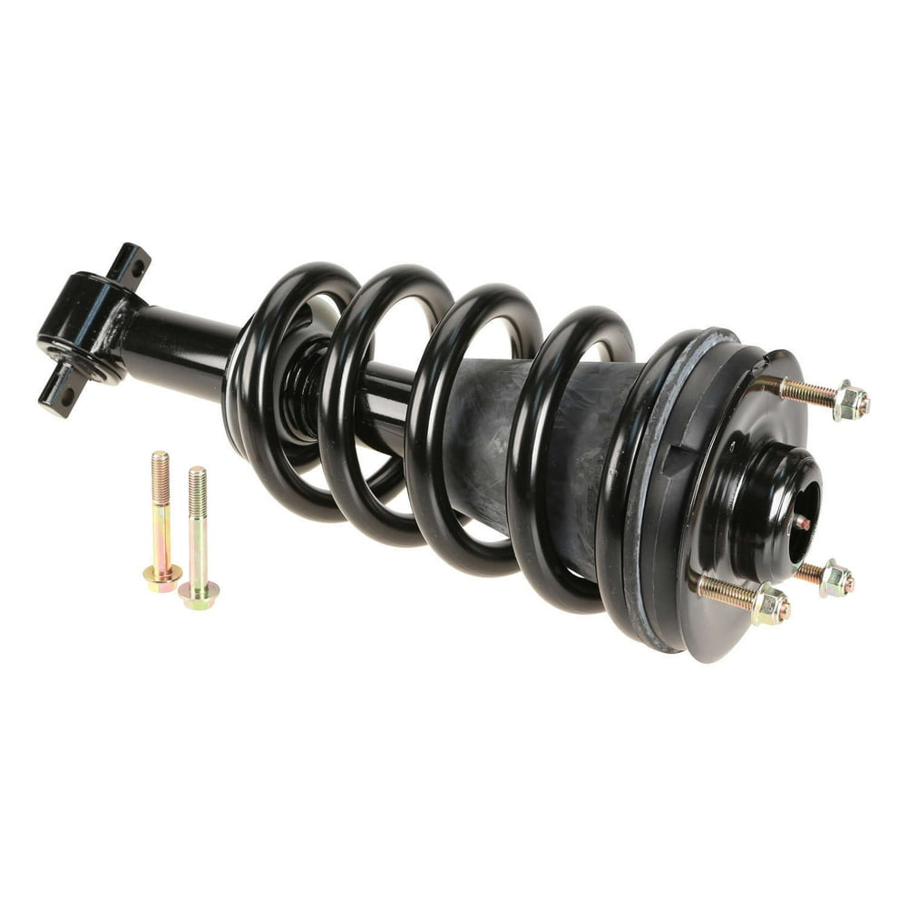 Suspension Strut and Coil Spring Assembly