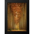 thumbnail image 2 of Podt, Martin 13x18 Black Modern Framed Museum Art Print Titled - Unexpected, 2 of 5