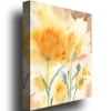 Trademark Art 'Golden Poppies' Canvas Art by Shelia Golden
