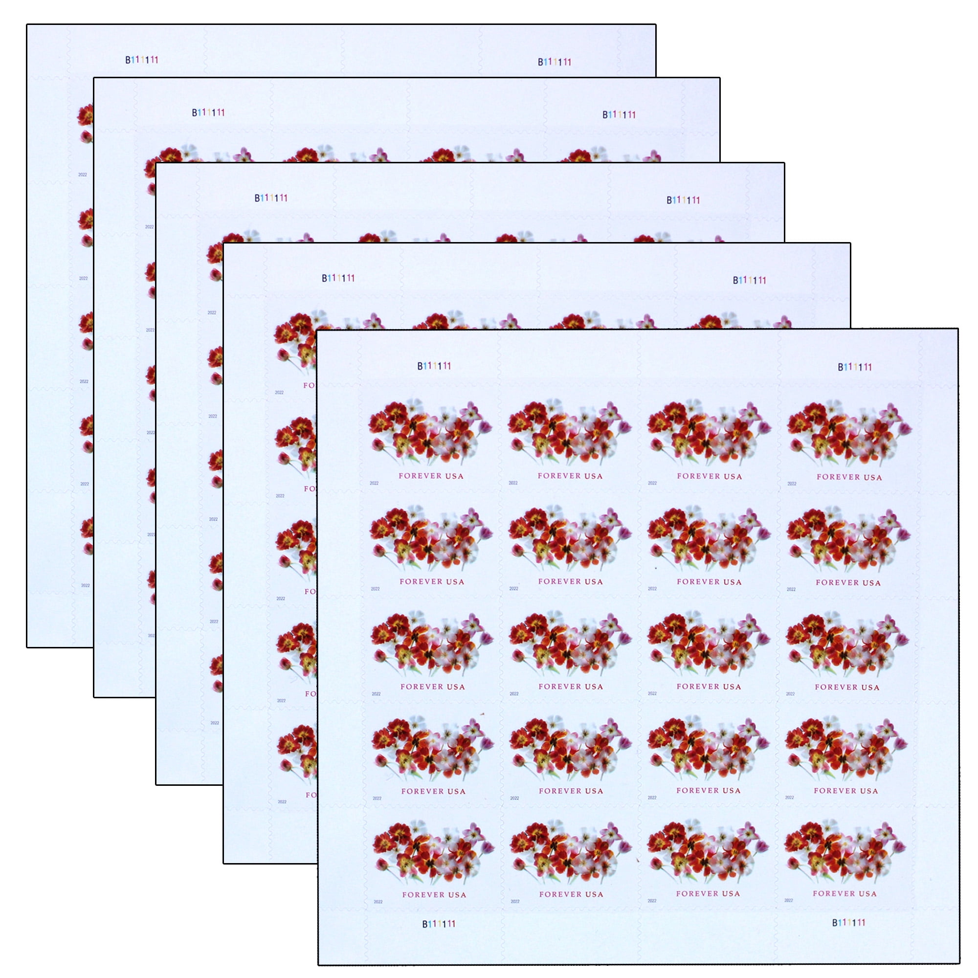 Tulips USPS Forever Postage Stamp 5 Sheets of 20 US First Class Postal ...