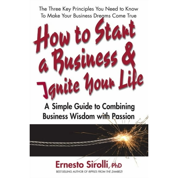 How to Start a Business & Ignite Your Life: A Simple Guide to Combining Business Wisdom with Passion, (Paperback)