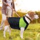 thumbnail image 3 of Chaqueta impermeable de invierno para mascotas, chaleco acolchado cálido para mascotas con correa de doble anillo en D para clima frío, ropa deportiva con cremallera para mascotas pequeñas, medianas, 3 of 8