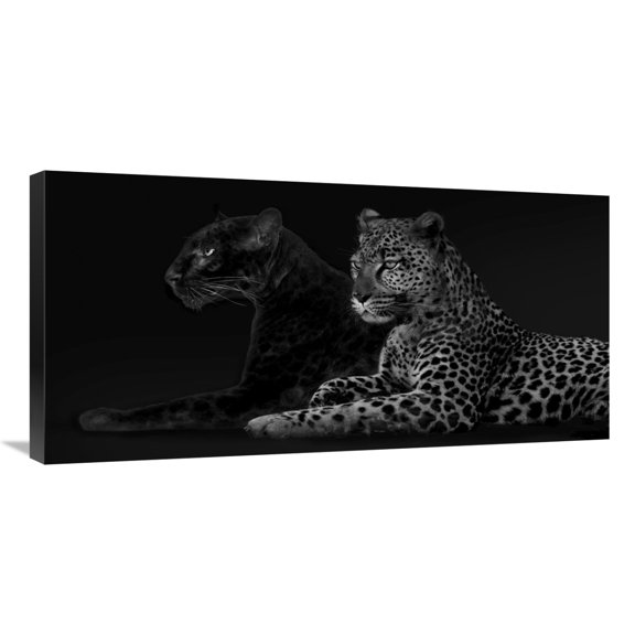 Global Gallery's 'Brotherhood' by Lauren Julian Stretched Canvas Wall Art