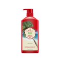 thumbnail image 1 of Old Spice Fiji 2in1 Shampoo & Conditioner for Men, Healthier, Fuller, More Moisturized Looking Hair 650 mL, 1 of 14