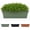 Basil, variant on Dura Cotta 24" Black Resin Rectangle Window Box Planter with Saucer Tray for Indoor and Outdoor Gardening