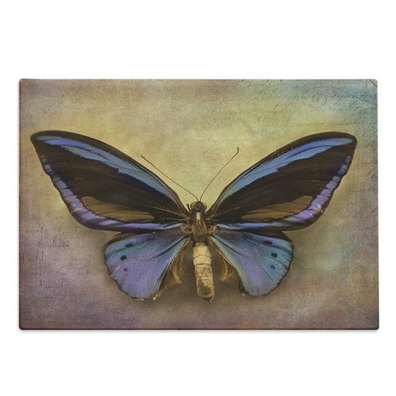Butterfly Cutting Board, Monarch Butterfly Vintage British Grunge Victorian Photography Art Theme Print, Decorative Tempered Glass Cutting and Serving Board, Large Size, Multicolor, by Ambesonne