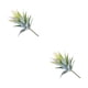 thumbnail image 2 of Wosthever Suculentas falsas, belleza de la naturaleza para el hogar o la oficina, suculentas artificiales, plantas artificiales para exteriores Type2 NO2, 2 of 6