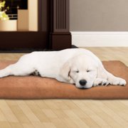 Foam Dog Bed, 3" Thick Pet Bed with Removeable Cover by PETMAKER
