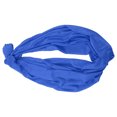 thumbnail image 3 of Hamac Extensible pour Enfants Compétences d'Apprentissage Élasticité Relaxation Confortable Balançoires pour Jouer Bleu, 3 of 7