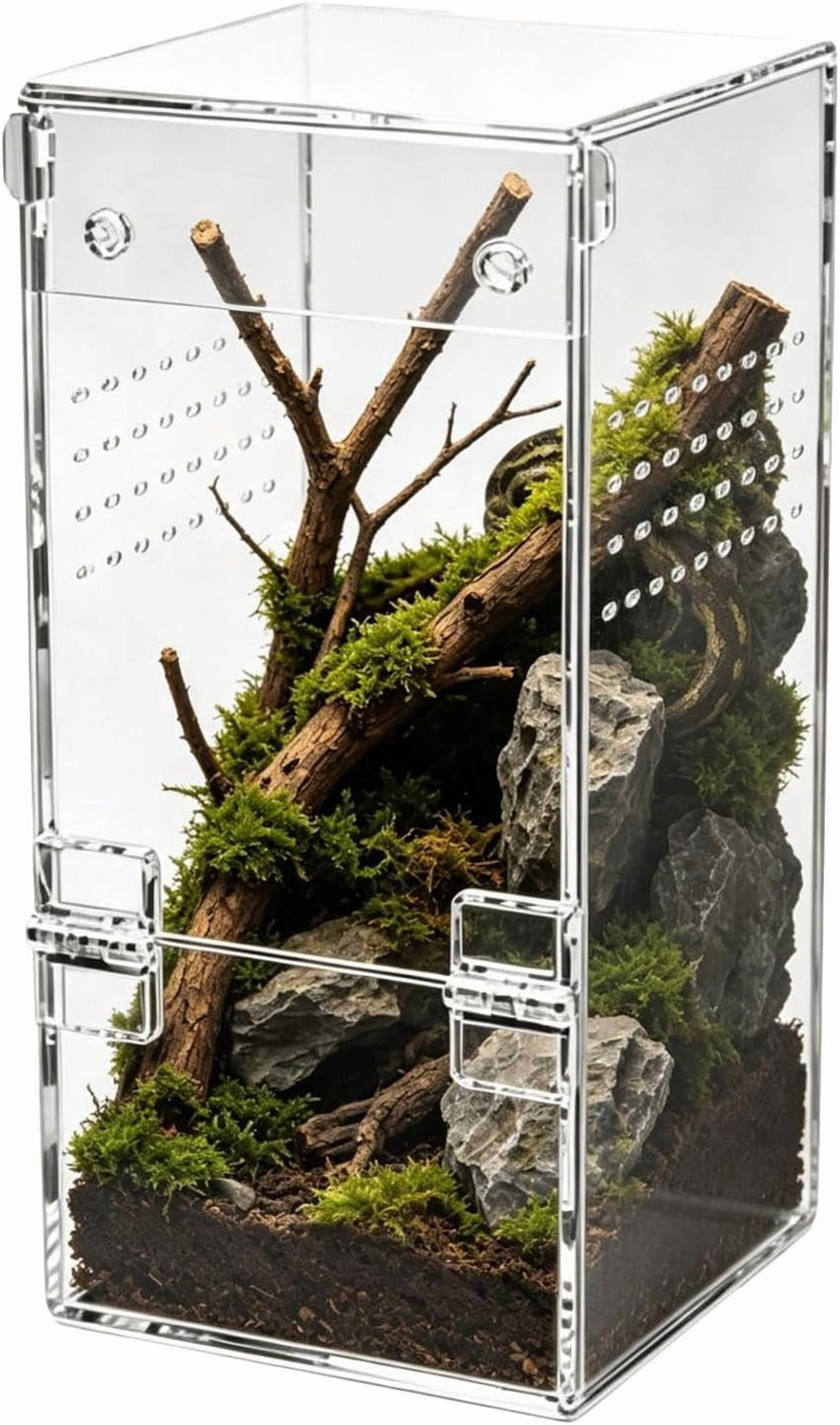 Acrylic Jumping Spider Enclosure, Magnetic Door Terrarium for Display and Observation