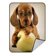 ECZJNT Dachshund Puppy Dog With Green Apple Throw Blanket Fleece Blankets Plush Blanket 58x80 inch