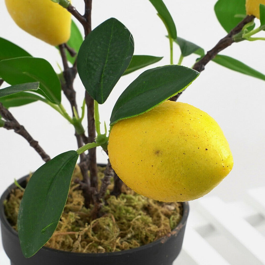 Large Artificial Plants Lemon Tree Orange Tree Exotic Tropical Office or Home 