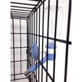 thumbnail image 5 of Choco Nose Patented No-Drip Small Dog Water Bottle/Feeder for Cats  - for Cages, Crates or Wall Mount. 10.2 Oz. Mess Free Leak-Proof Nozzle 16mm, Blue (C590), 5 of 5