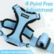 thumbnail image 4 of Chaleco ajustable suave Cat Harness Rabbitgoo, azul claro, XS, 4 of 6
