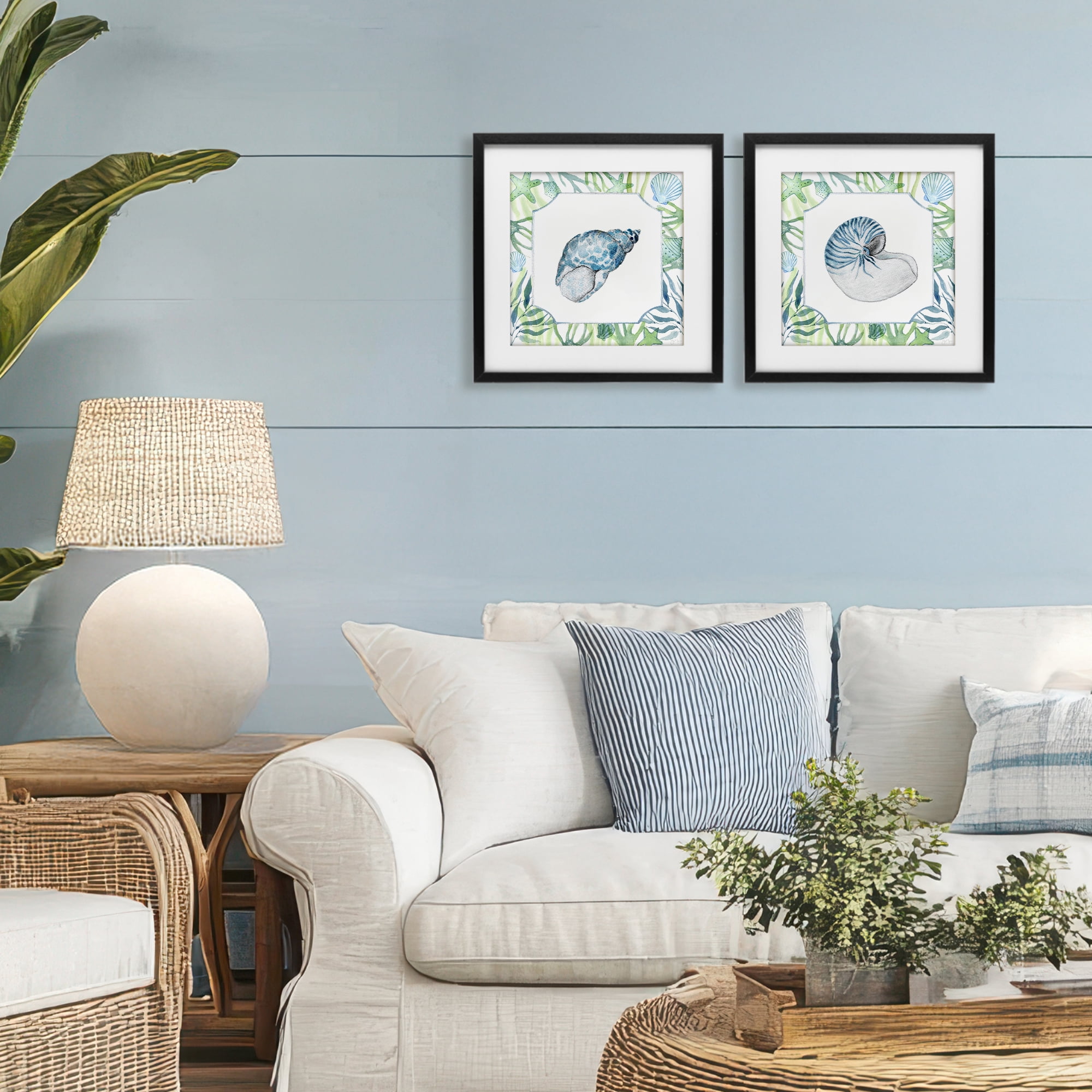 Stupell Industries Seaweed Bordered Seashells 2 Piece Black Framed Print Under Glass Set, design by Janet Tava