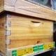 thumbnail image 4 of Puerta de entrada duradera Beehive - Paquete de 5, 4 of 10