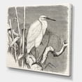 thumbnail image 3 of Designart ' Little Egret Bird in Monochrome ' Farmhouse Canvas Wall Art Print, 3 of 4