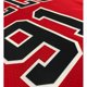 thumbnail image 4 of hot pressed 2022 nba Chicago Bulls No. 91 Rodman red basketball jersey, 4 of 4