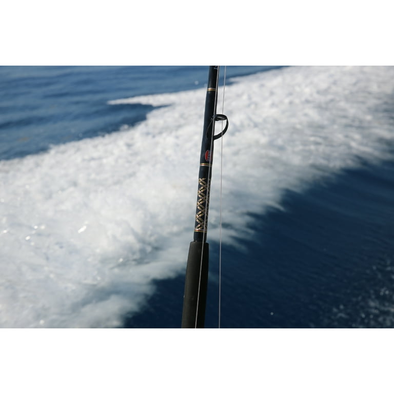 PENN International VI Casting Fishing Rod 