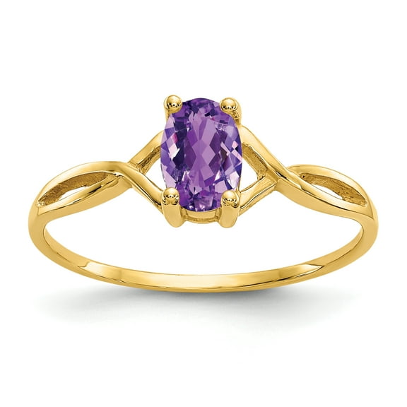 Primal Gold 14 Karat Yellow Gold Amethyst Birthstone Ring