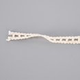 thumbnail image 3 of Lace Ribbon Cotton Thread 20 Yards Hollow Decorative Accessories for DIY Clothing Decoration, 3 of 3