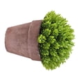 thumbnail image 3 of Maceta falsa Decoración de mesa de flores Flor artificial de plástico Bonsai Simulación de sala de estar Flor en maceta, Verde Eigraketly HA8892-03B, 3 of 6