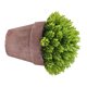 thumbnail image 3 of Maceta falsa Decoración de mesa de flores Flor artificial de plástico Bonsai Simulación de sala de estar Flor en maceta, Verde Methold HA8892-03B, 3 of 6
