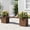 Brown, variant on HDPE 2-in-1 Outdoor Bench with Flower Boxes, Open-Bottom Planter, Garden Patio Seating, 71 in W, Brown
