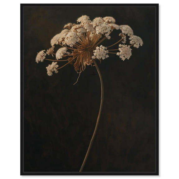 Lace Against the Void Canvas Gothic Botanicals by Art Remedy, Black Frame, 16" x 20"