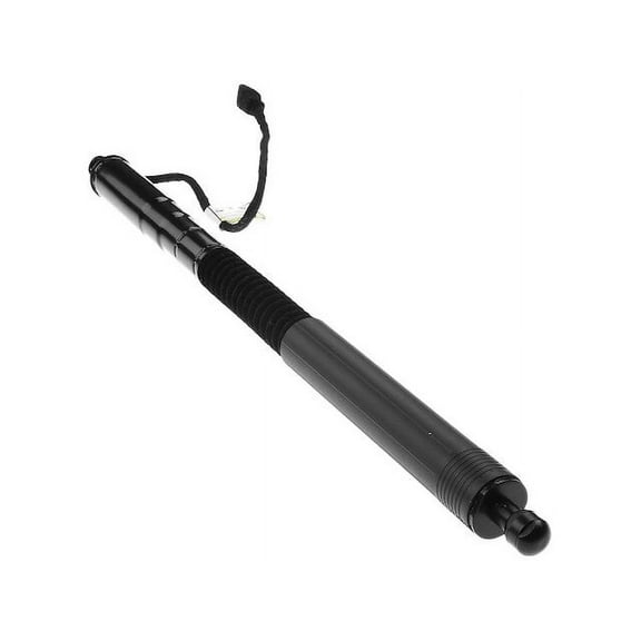 Power Liftgate Actuator 1 - Compatible with 2018 - 2020 BMW X3 2019