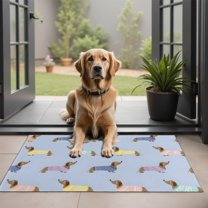 Colorful Funny Dachshund Door Rugs,Washable Non Slip Door Mats Indoor,Decorative Door Mats,Entry Mat Indoor for Entrance,Bedroom,Kitchen,Bathroom,20"x32"