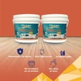 thumbnail image 3 of PINTEX Kit Pinta-me 2 Galones Pintura Vinil-Acrílica 3.8 L c/u | Incluye Brocha, Rodillo, Felpas, Masking Tape y Plastiprotector | Acabado Mate | Interiores y Exteriores | Mamey, 3 of 5